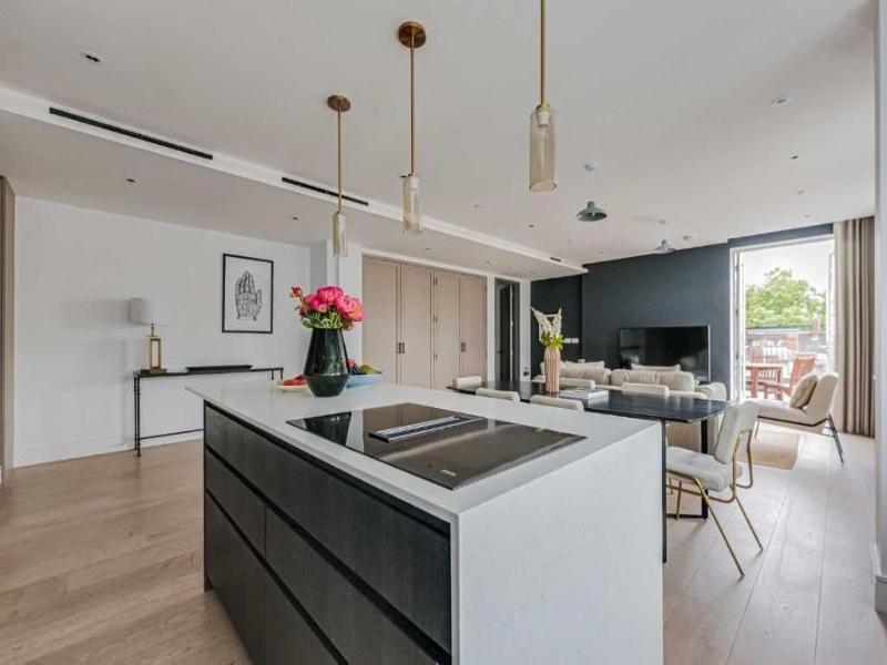Westminster Apartments By D'montrio image