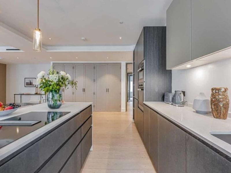 Westminster Apartments By D'montrio image