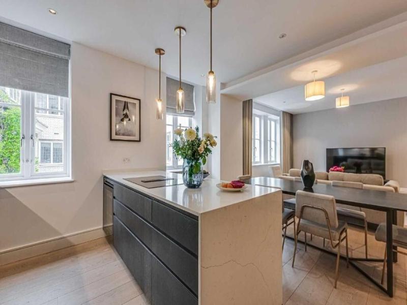 Westminster Apartments By D'montrio image