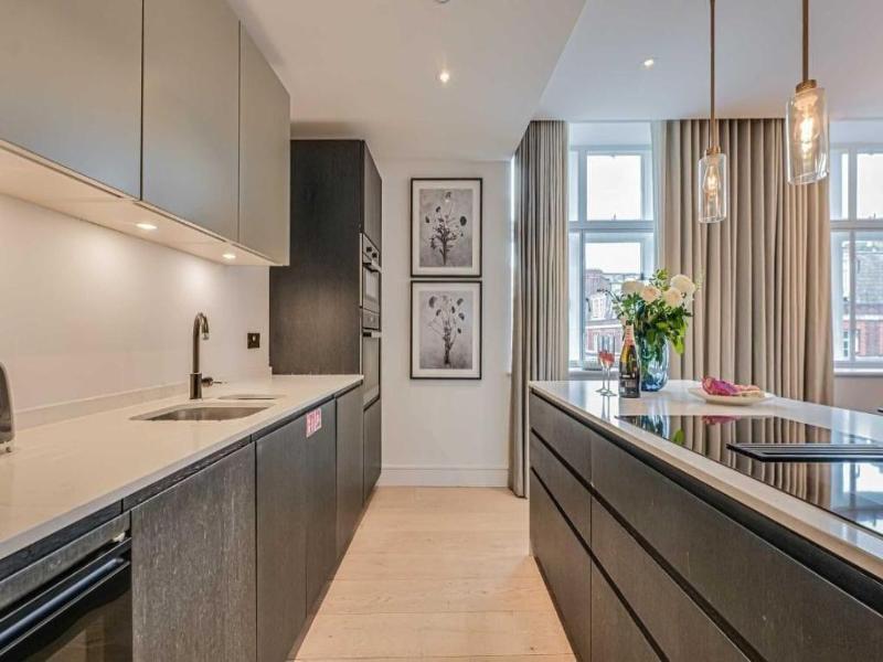Westminster Apartments By D'montrio image
