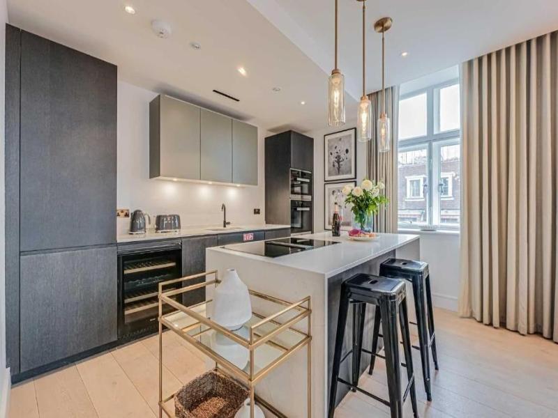 Westminster Apartments By D'montrio image