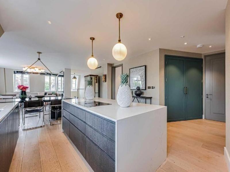 Westminster Apartments By D'montrio image