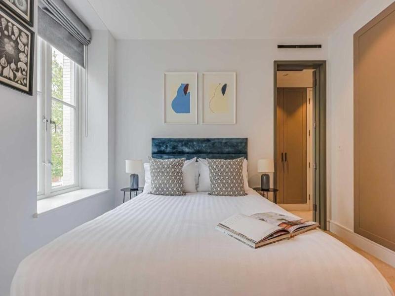Westminster Apartments By D'montrio image