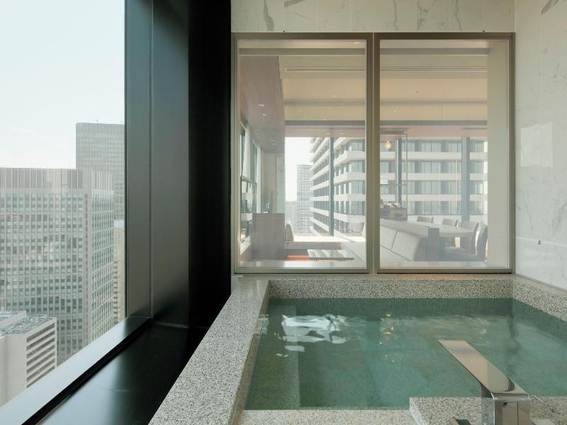 Candeo Hotels Osaka The Tower image