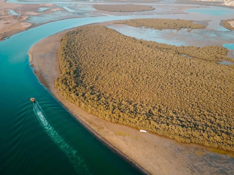 Rove Al Marjan Island image