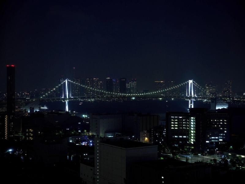 Ana Holiday Inn Tokyo Bay By Ihg image