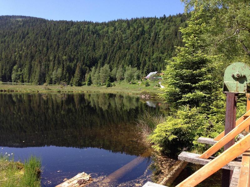 Ferienhaus In Bayern Mit Waldblick image