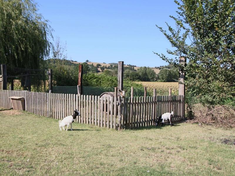 Cottage In Todi With Pool And Sauna image