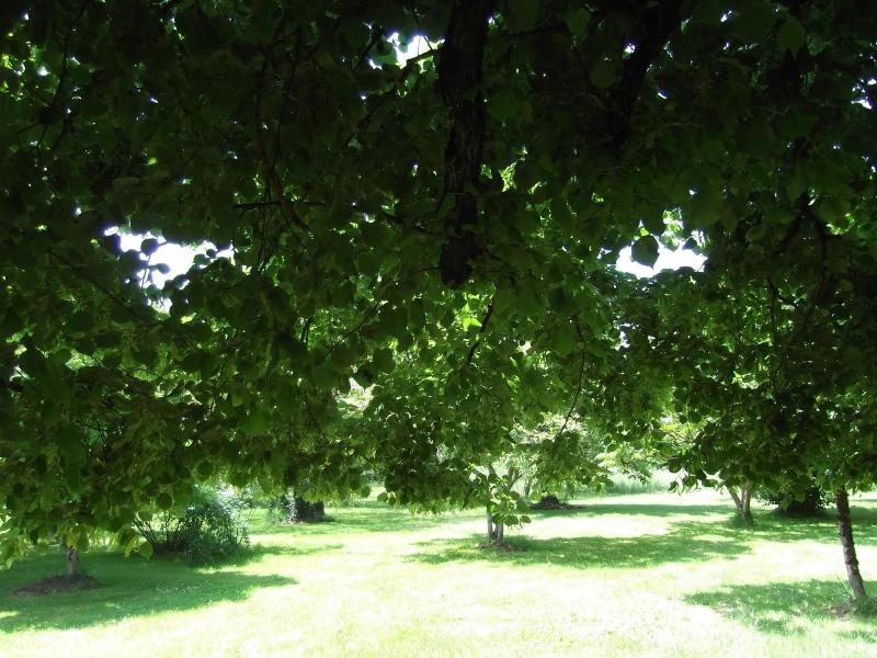 Le Clos De La Font Queroy image