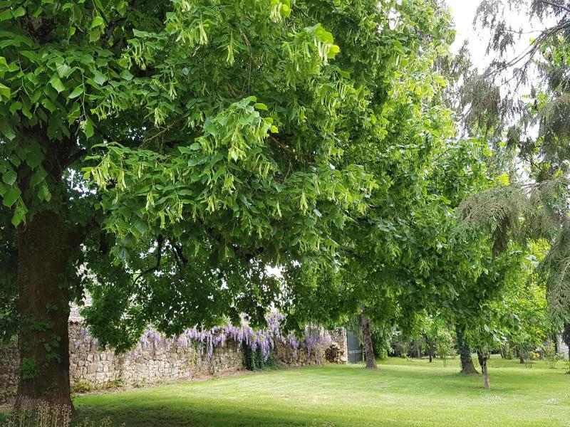 Le Clos De La Font Queroy image