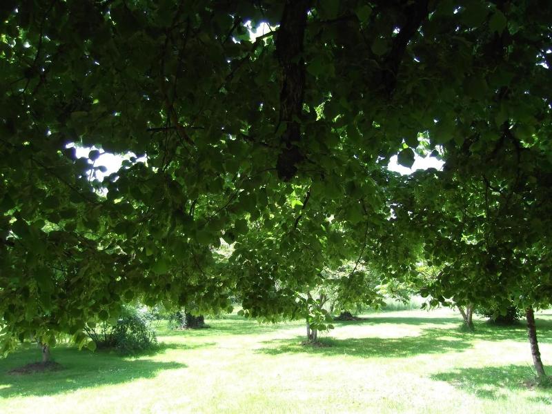 Le Clos De La Font Queroy image