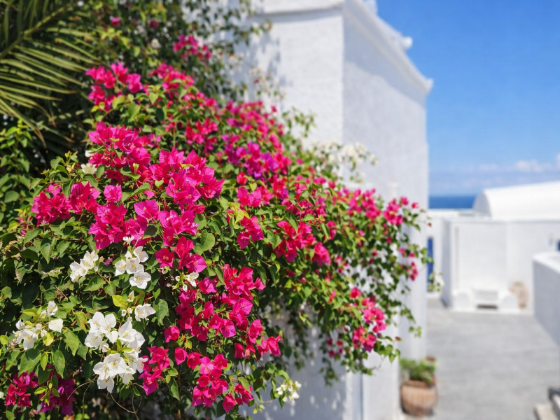 Hotiday Santorini Sea View image