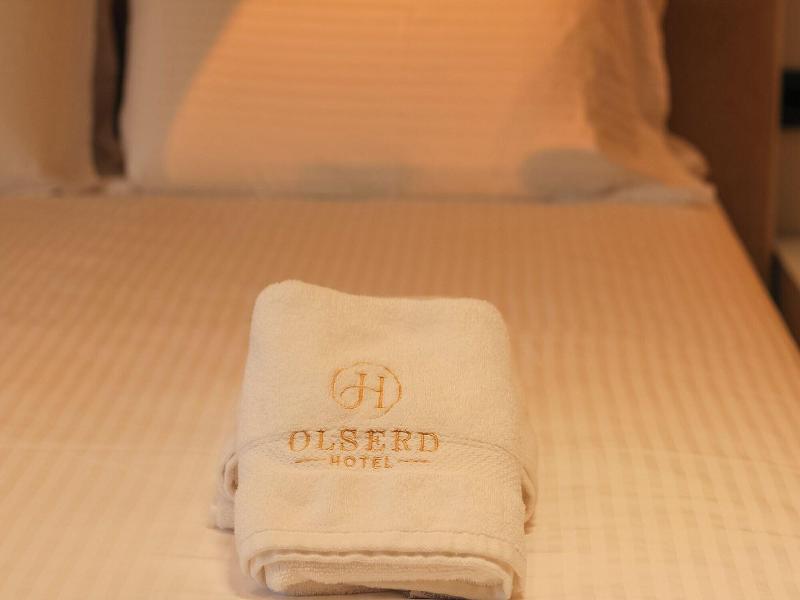 Hotel Olserd image