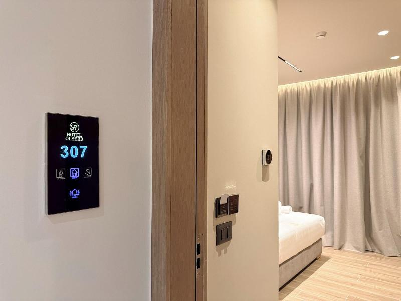 Hotel Olserd image