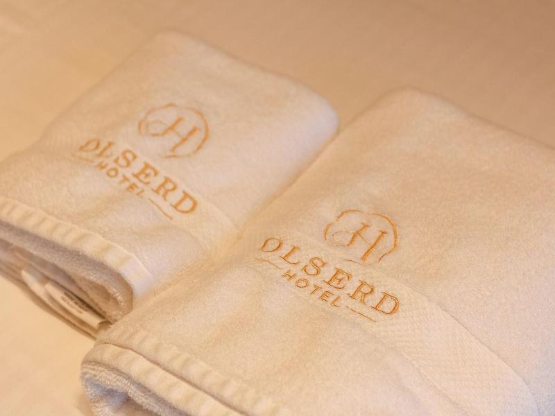 Hotel Olserd image