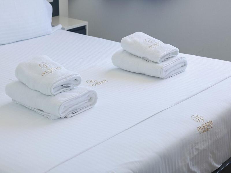Hotel Olserd image