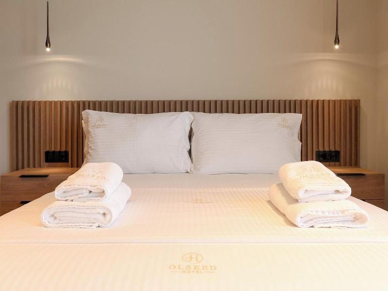 Hotel Olserd image