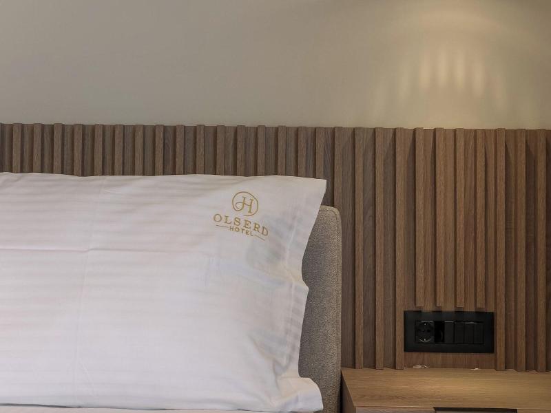 Hotel Olserd image