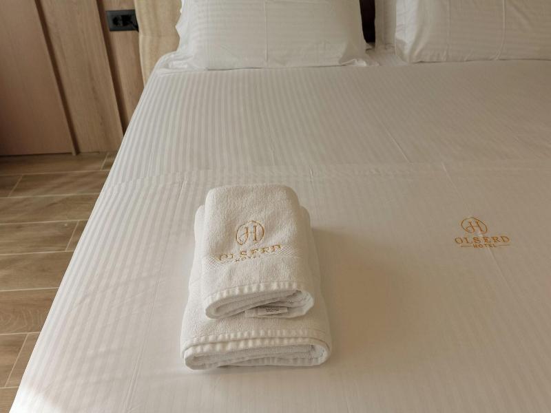 Hotel Olserd image