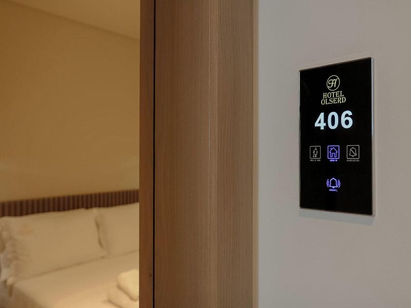 Hotel Olserd image