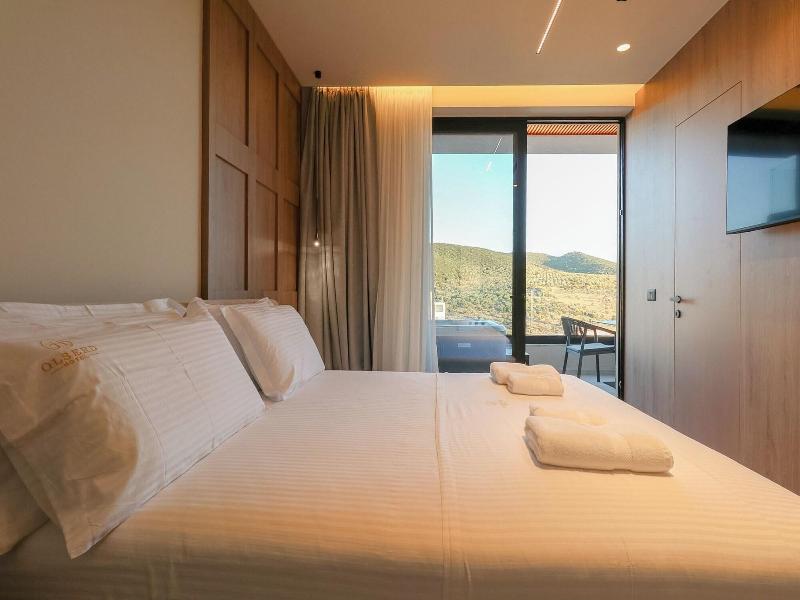 Hotel Olserd image