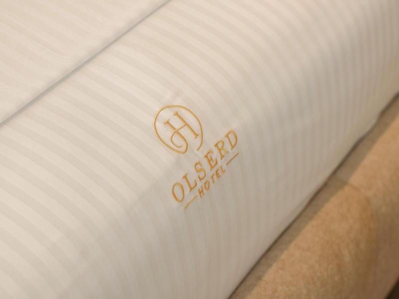 Hotel Olserd image
