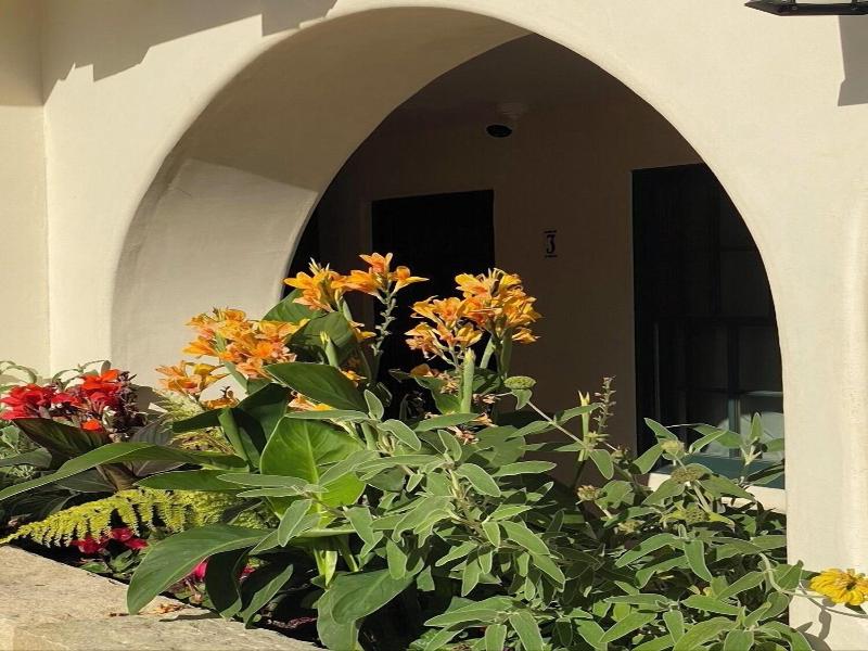 Tide Pool Villas image
