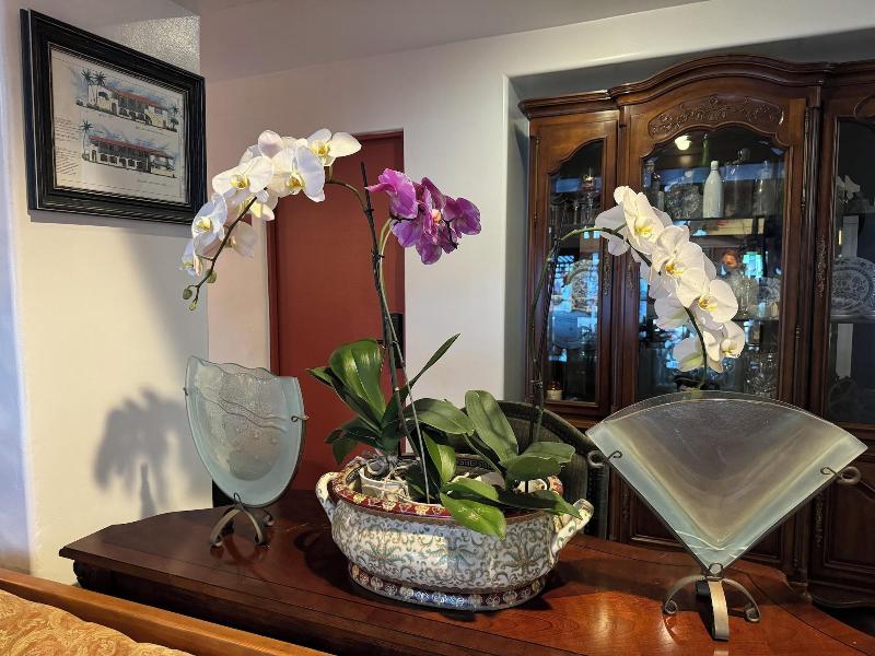 Tide Pool Villas image