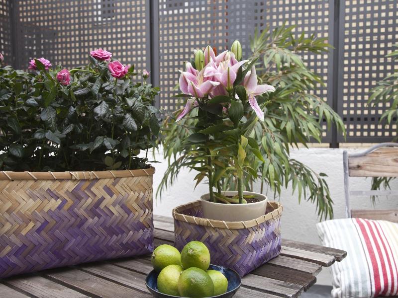 Feelathome Madrid Suites Apartments image