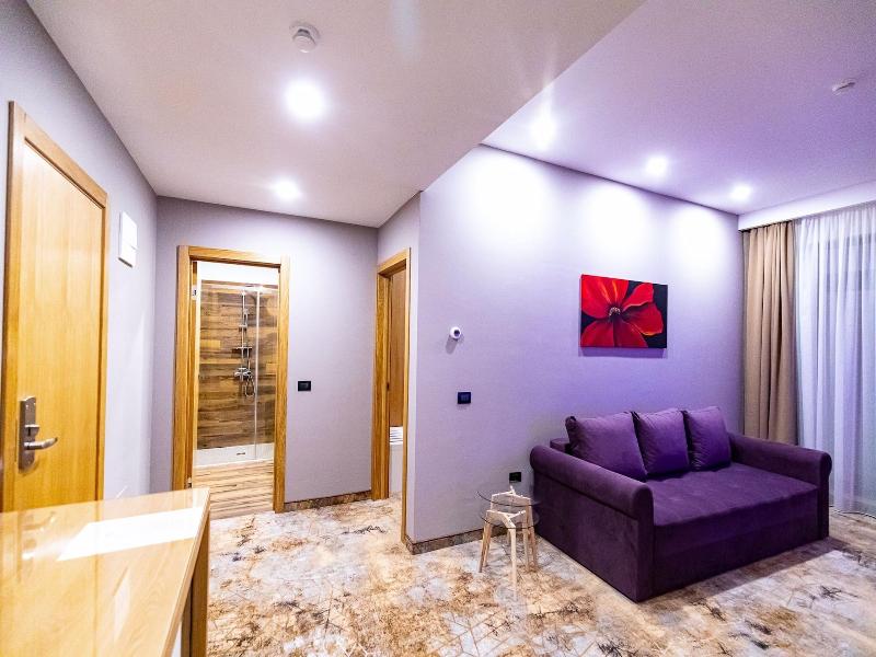 Grand View Hotel & Suites Copou image