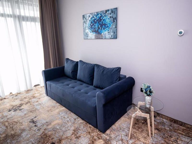 Grand View Hotel & Suites Copou image
