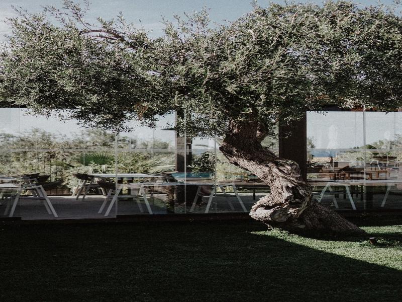 Insulae Resort image