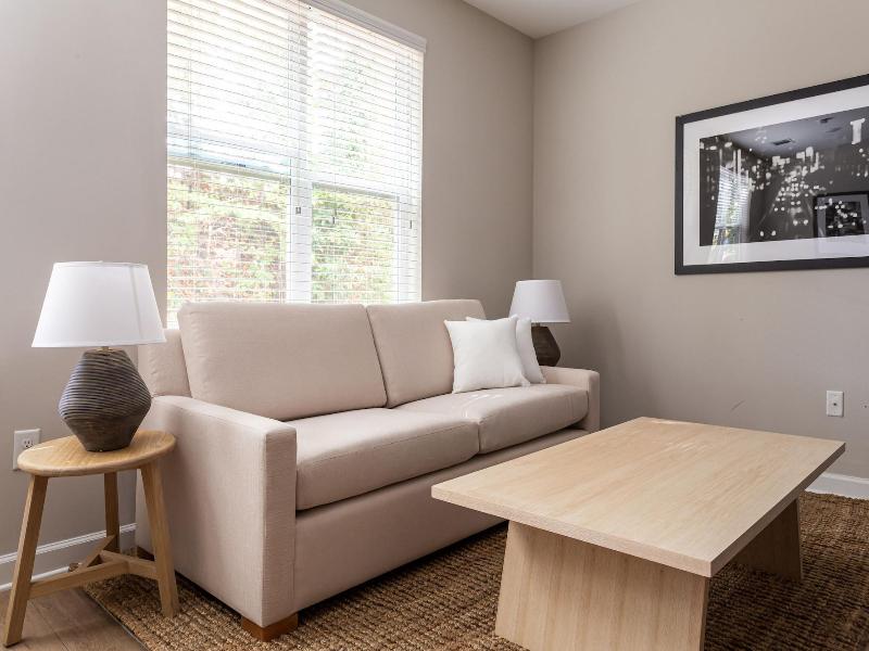 Kasa Freemorewest Charlotte image