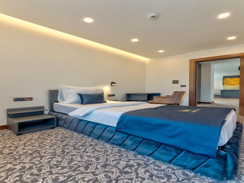 Queen Of Zlatibor Hotel & Spa image