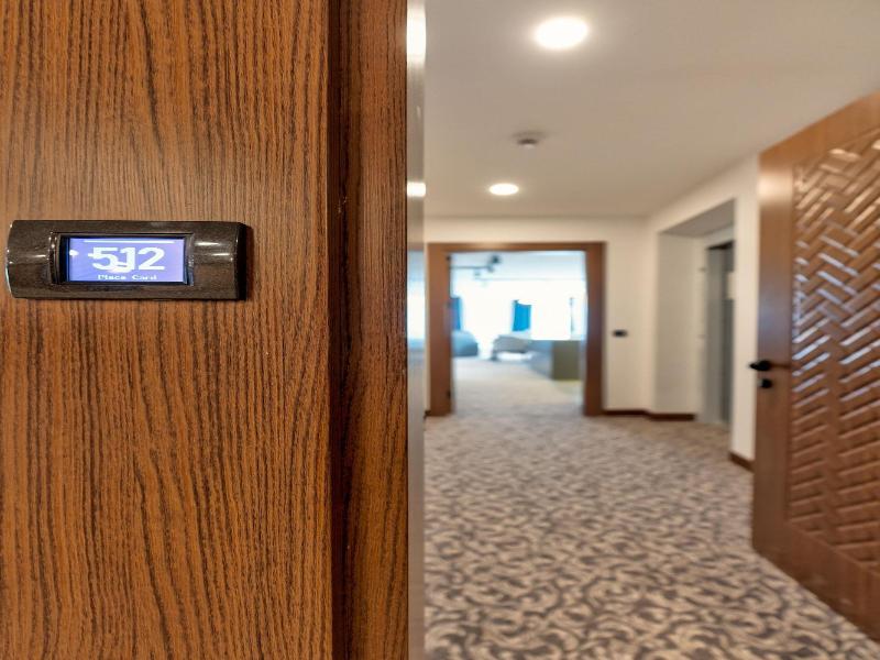 Queen Of Zlatibor Hotel & Spa image