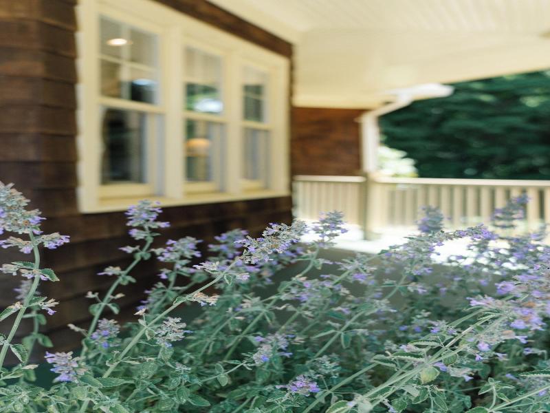 The Sagaponack image