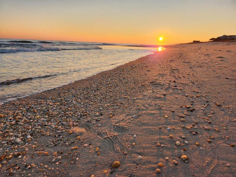 The Sagaponack image