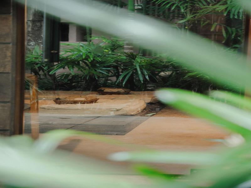 Kira Baya Koh Samed image