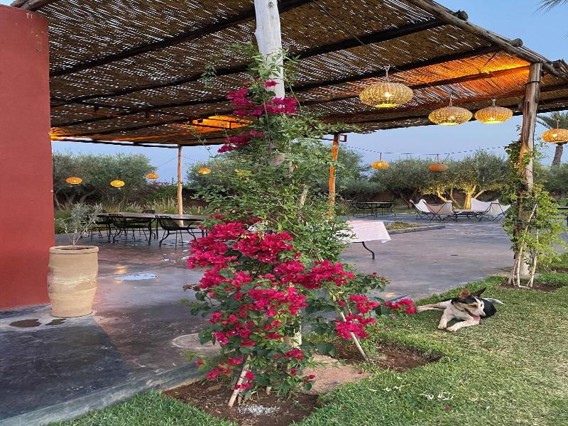 Dar Noujoum image