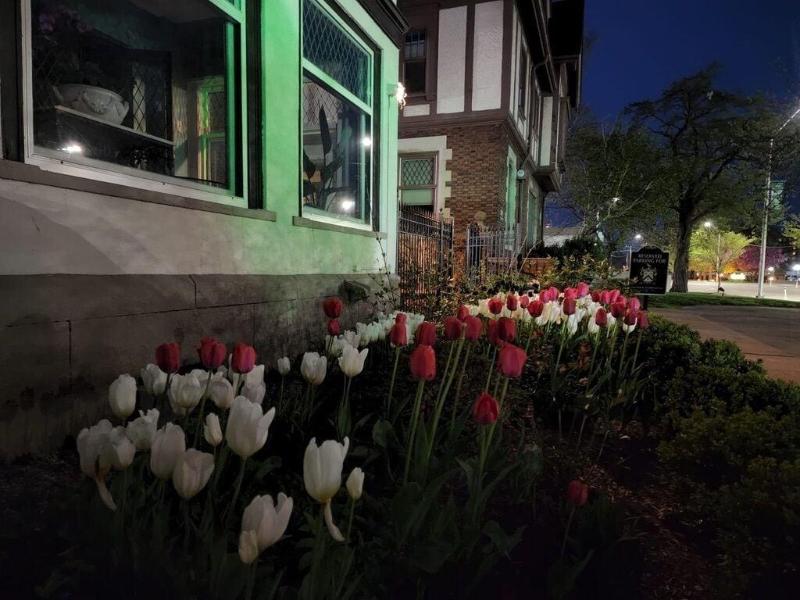 Frederick Stearns House Historic Inn image