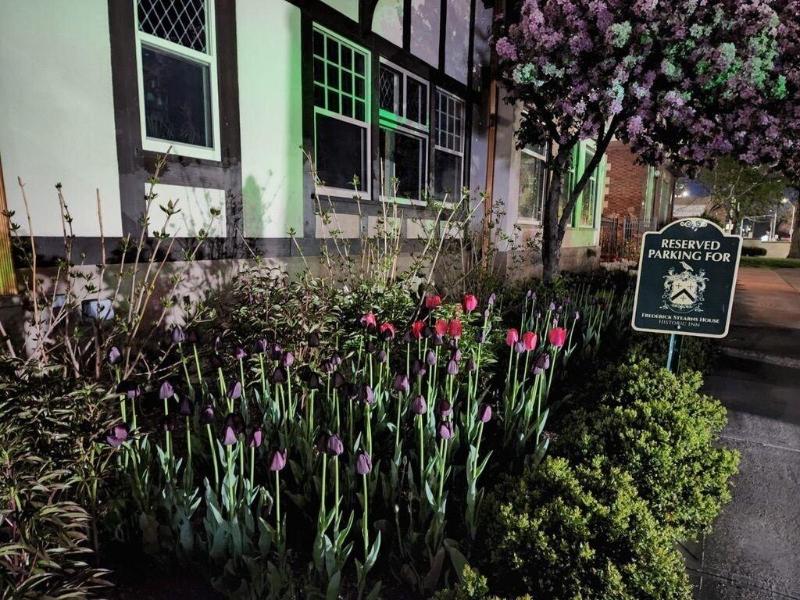 Frederick Stearns House Historic Inn image