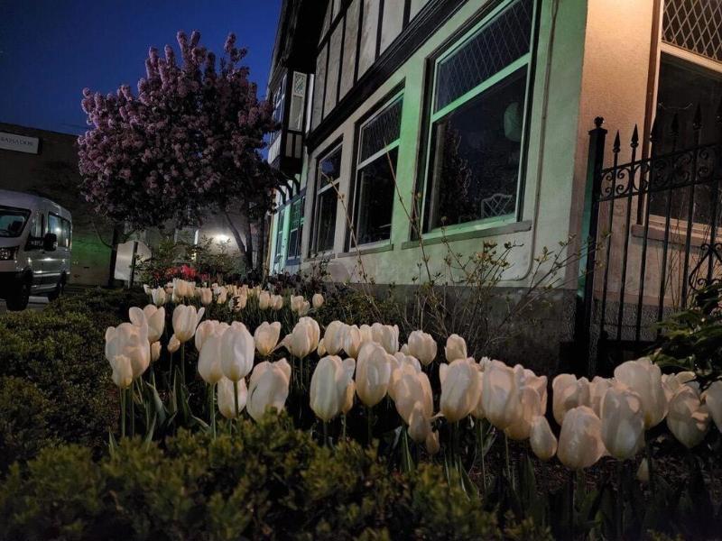 Frederick Stearns House Historic Inn image