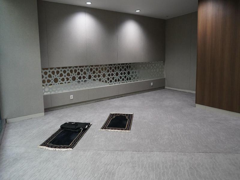 Grand Anara Airport Hotel image