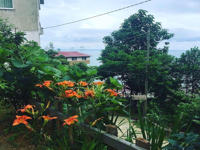 Yesil Vadi Apart Otel image