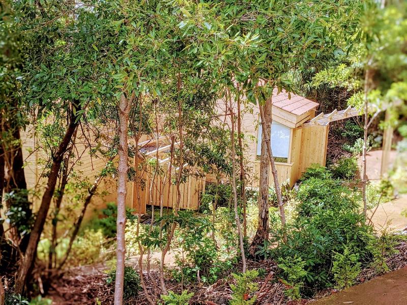 Cabanas Da Viscondessa — general view