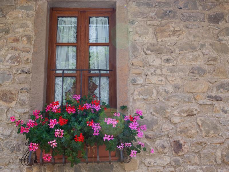 Borgo Dei Corsi Holiday House image