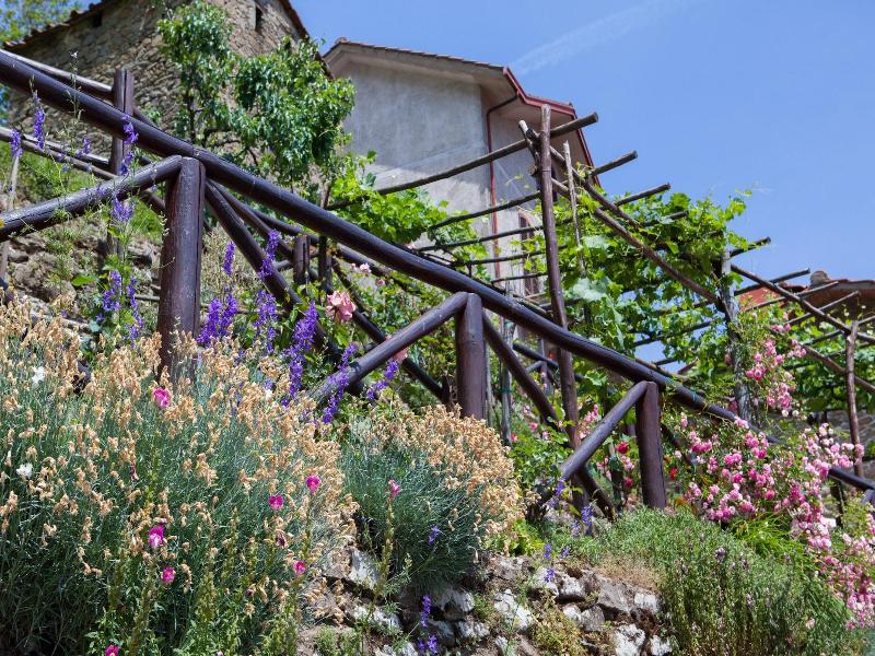 Borgo Dei Corsi Holiday House image
