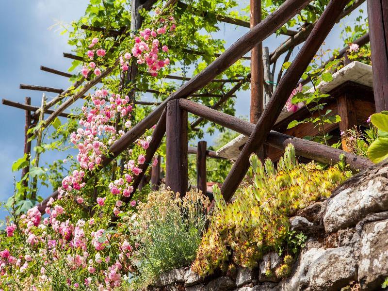 Borgo Dei Corsi Holiday House image