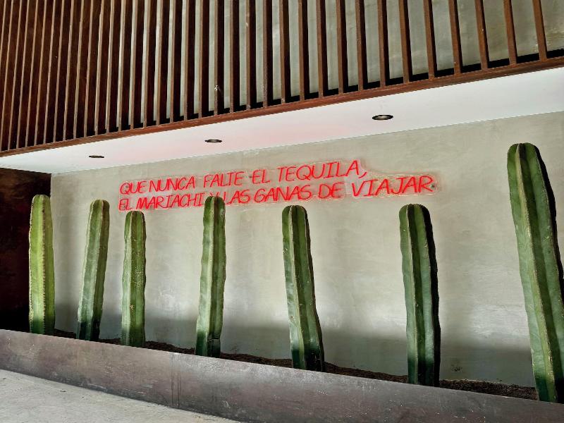 Hotel Alo Degollado image
