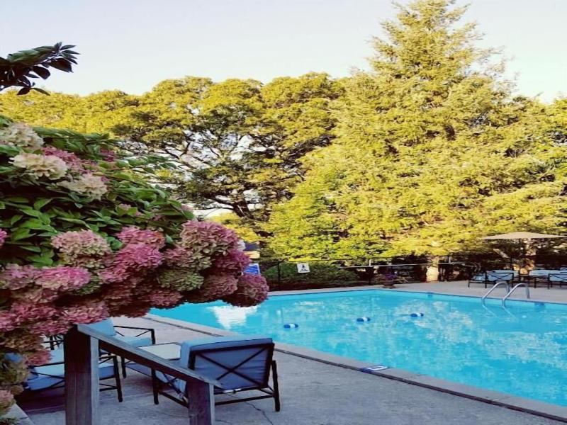 Starlight Lodge Cape Cod image